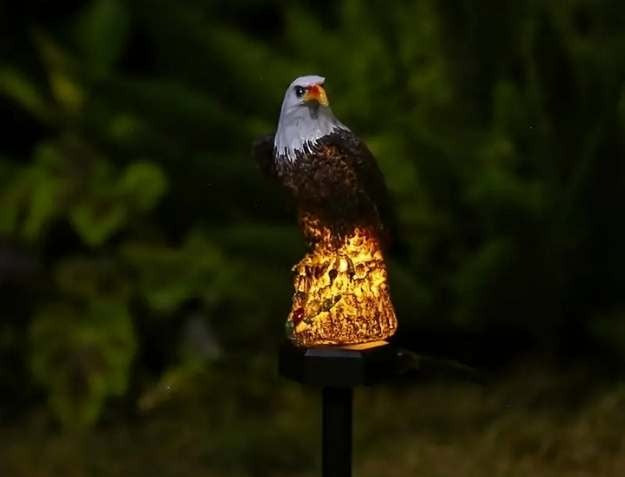 Lampes solaires LED de jardin en forme d'oiseau sur piquet pour l'extérieur, idéales pour les allées, pelouses et bordures