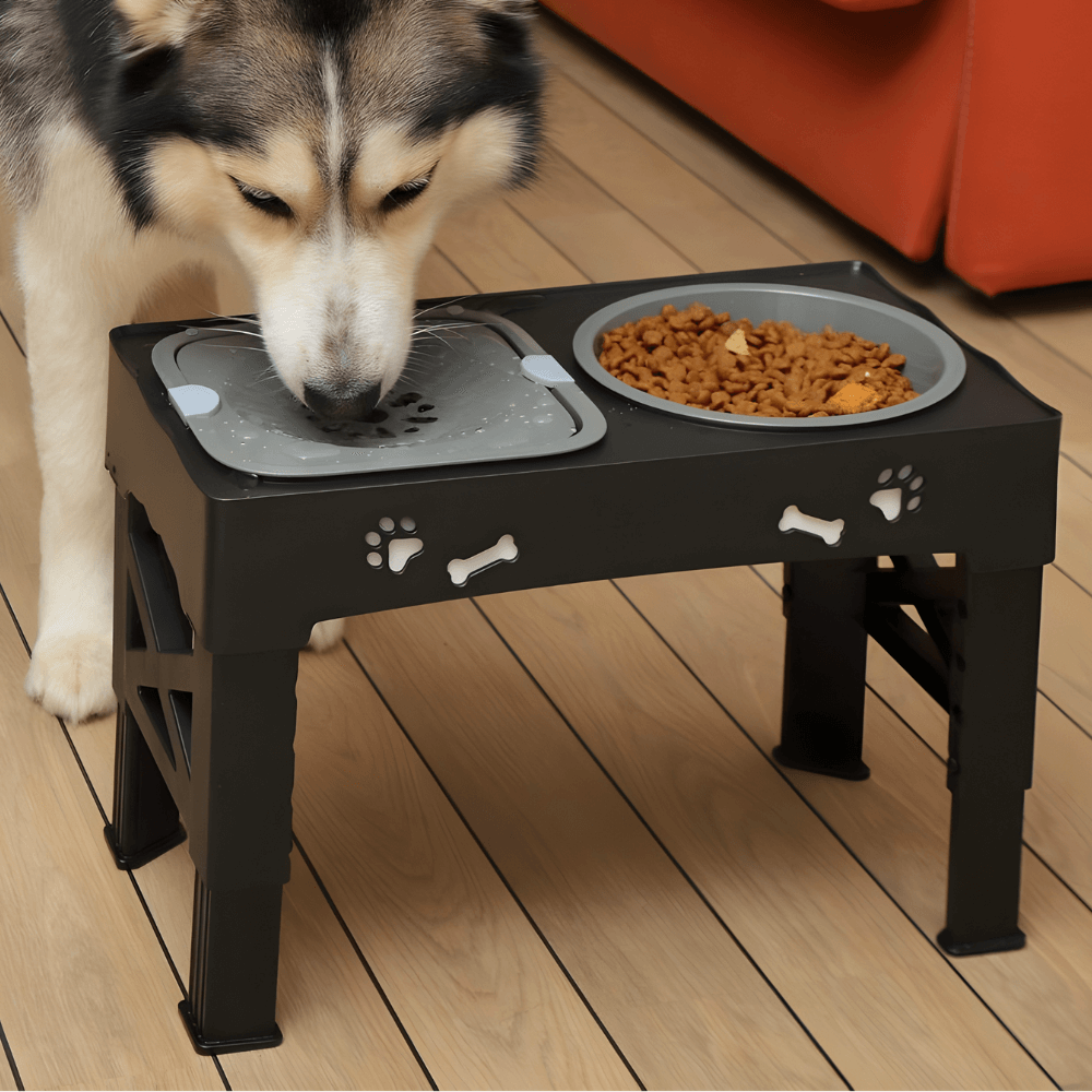 3-in-1 Dog Bowl Stand 1
