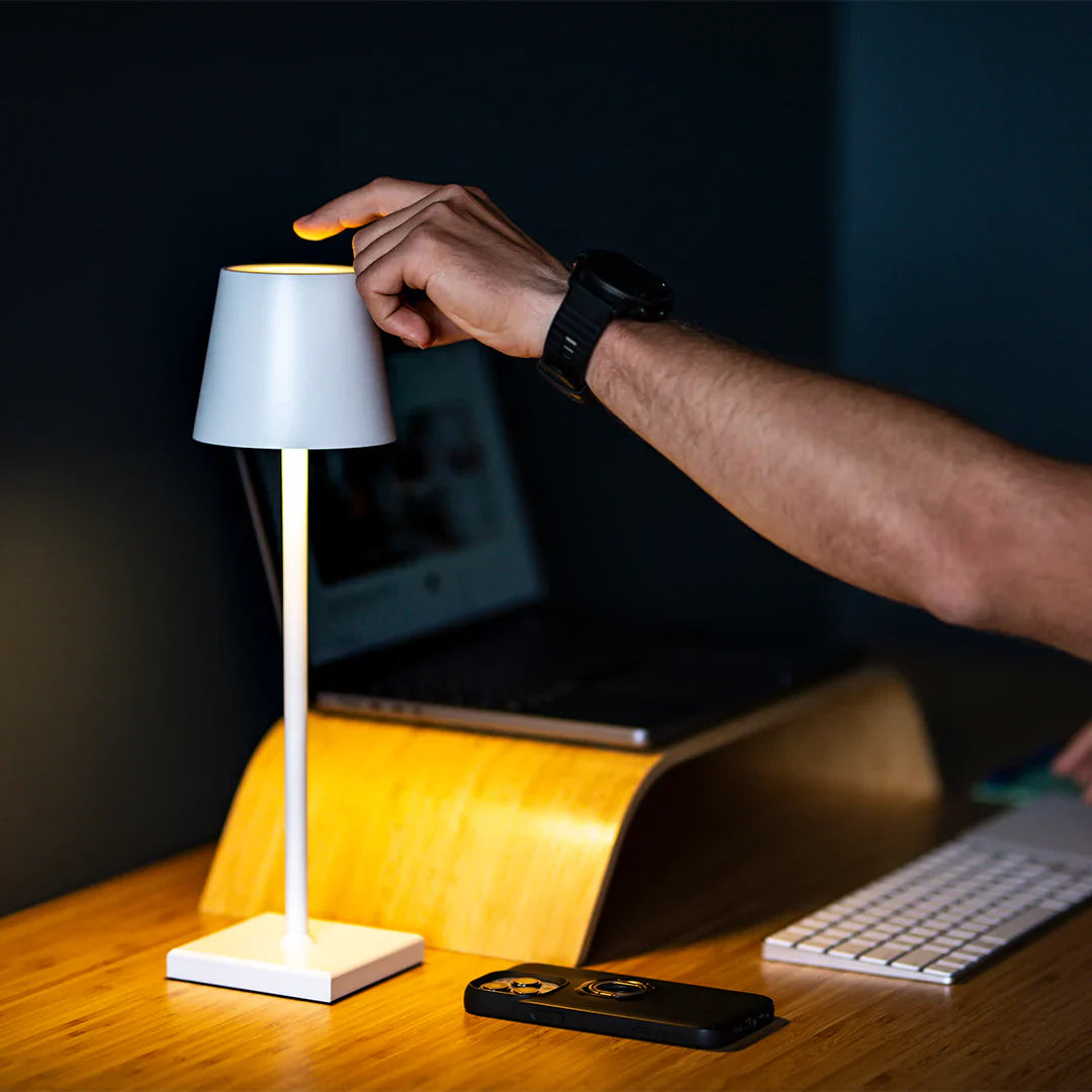 Modern Lampshade Light | Decorative Table Lamp | Elegant Floor Light | Stylish Ceiling Fixture | Home Lighting Solution - Zardee 3