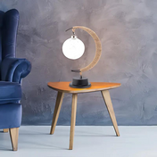 Moon LED Lamp