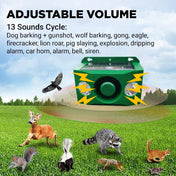 Beast Repellent Solar Warning Lights with Loud Volume 3