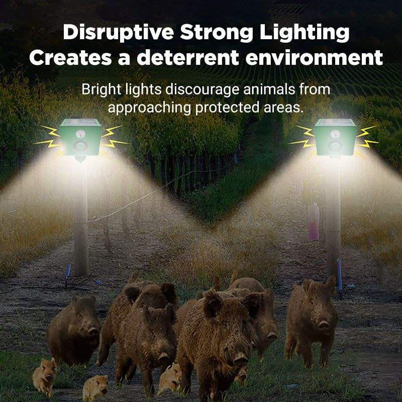 Beast Repellent Solar Warning Lights with Loud Volume 5