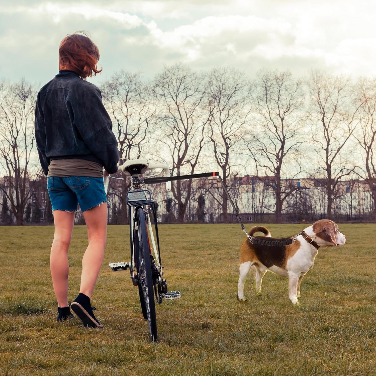 Bicycle dog leash 5