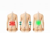 NovaFlex 360 Pain-Free Belt In Just 15 Minutes A Day For An Easier Life