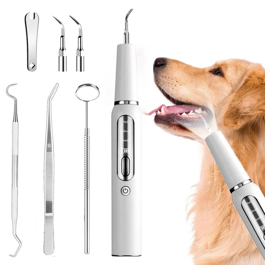 Dog Dental Care with Tartar Control and Calculus Removal 0