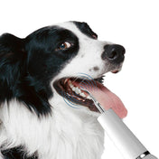Dog Dental Care with Tartar Control and Calculus Removal 2