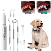 Dog Dental Care with Tartar Control and Calculus Removal 3