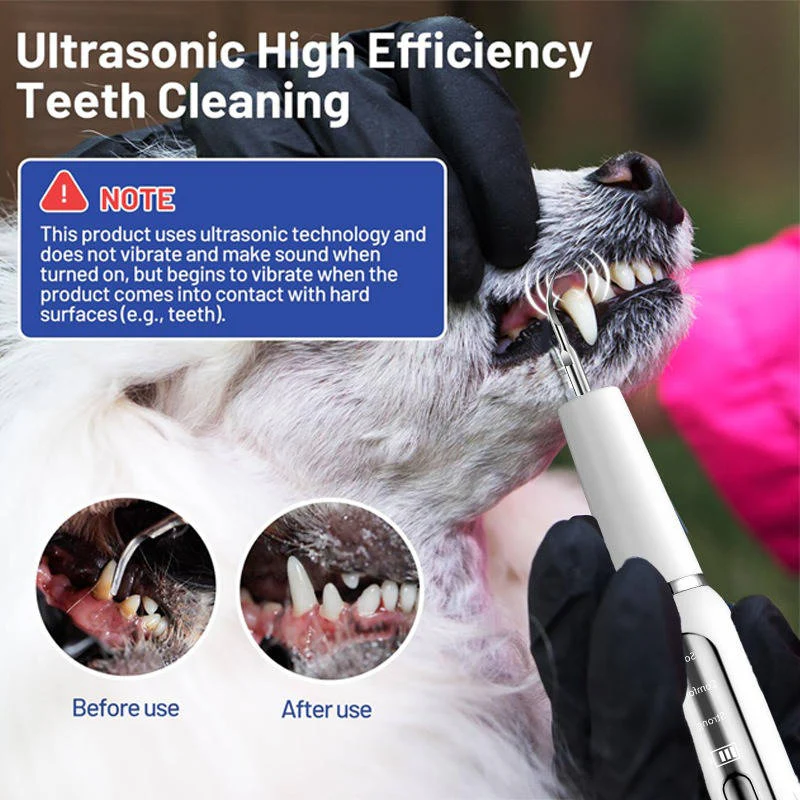 Dog Dental Care with Tartar Control and Calculus Removal 4