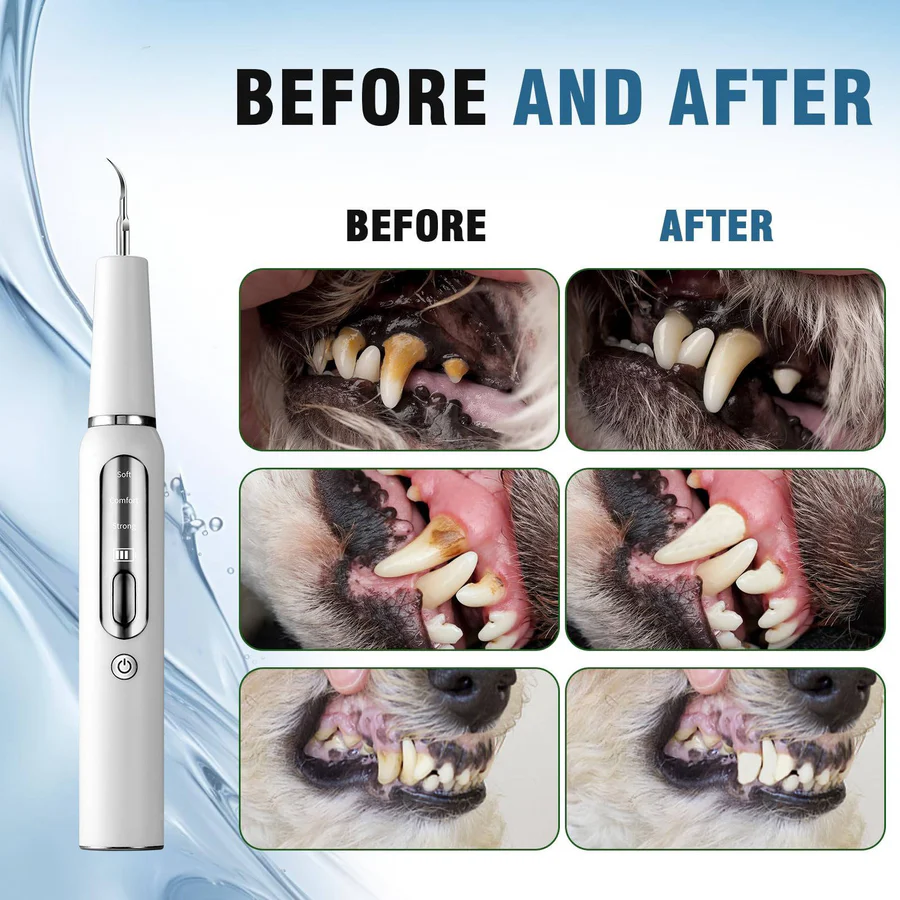 Dog Dental Care with Tartar Control and Calculus Removal 5