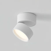Varmhvid justerbar LED-loftlampe til overflademontage med rettet belysning for præcis oplysning i ethvert rum