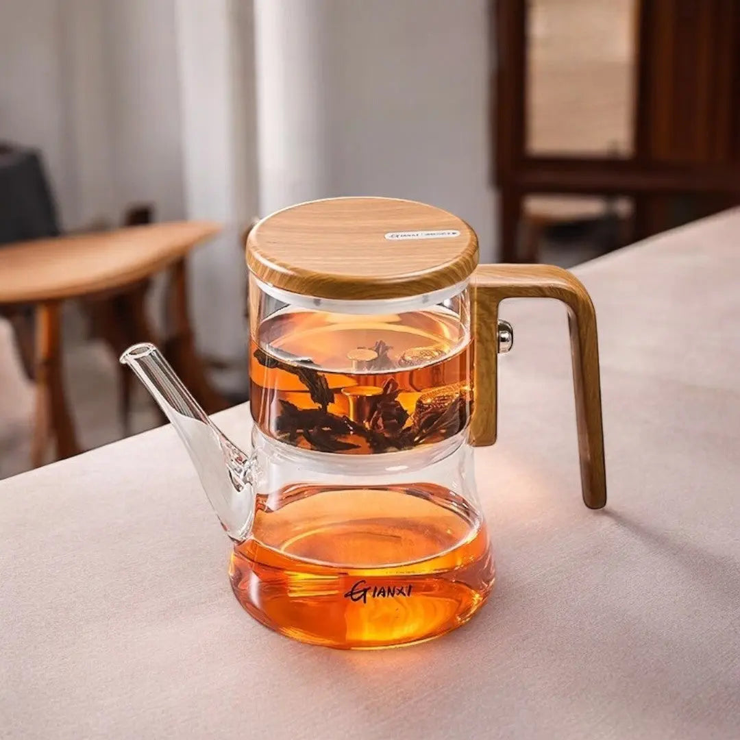 Gianixi Borosilicate Glass Magnetic Teapot 1