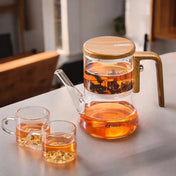 Gianixi Borosilicate Glass Magnetic Teapot 2