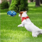 Interactive Flying Dog Toy 2