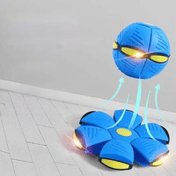 Interactive Flying Dog Toy 5