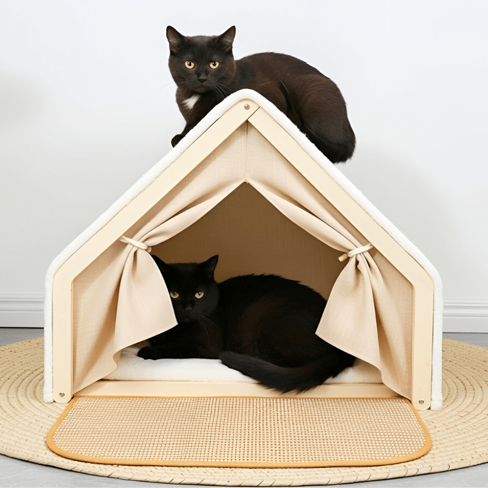 Kitty Camper Bed 1