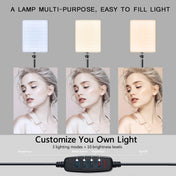 LED Video Lights Conference Photography Lighting Selfie Light Photo Studio Lamp With Tripod for Shoot Live Streaming TikTok Zoom 4