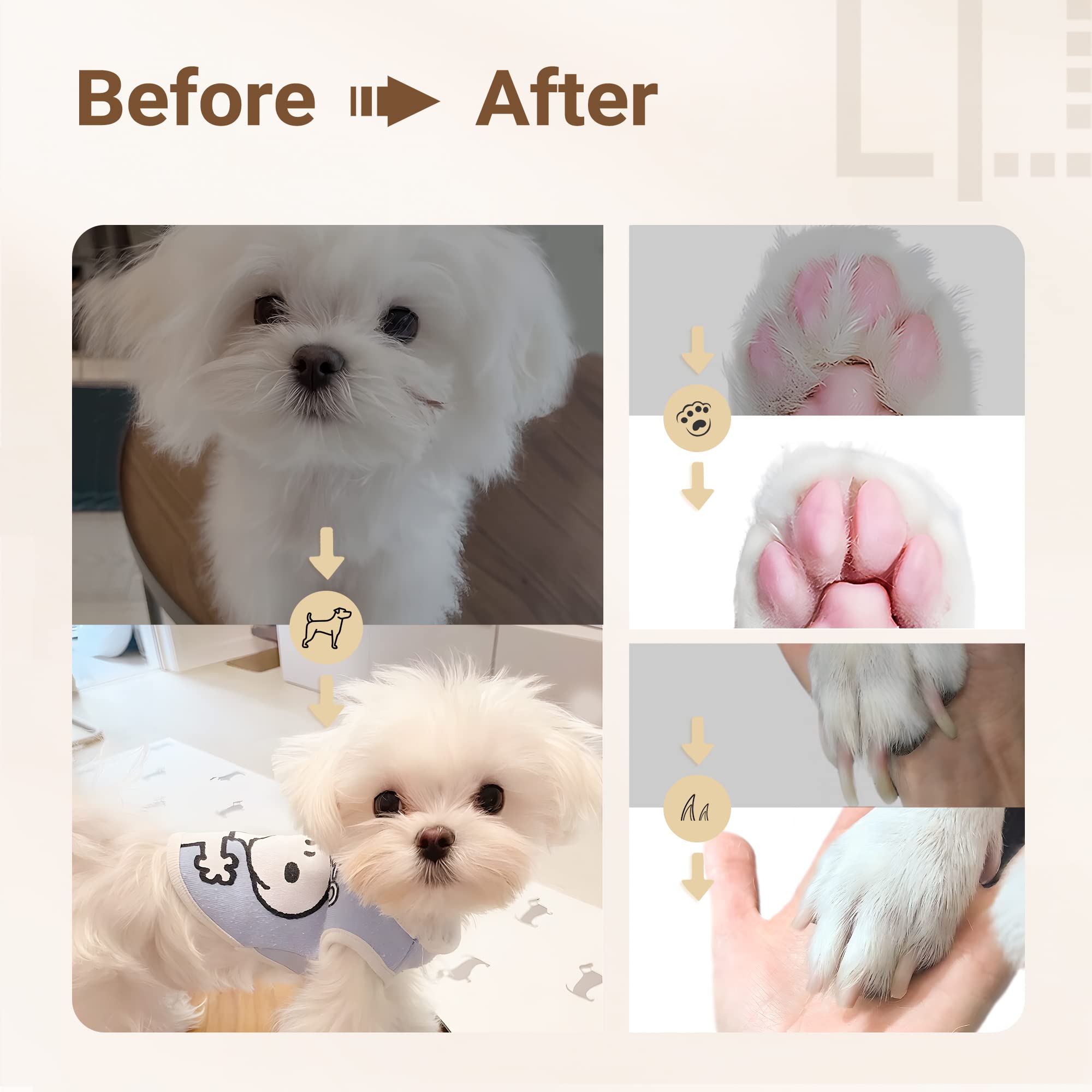 Pet Grooming Kit 6