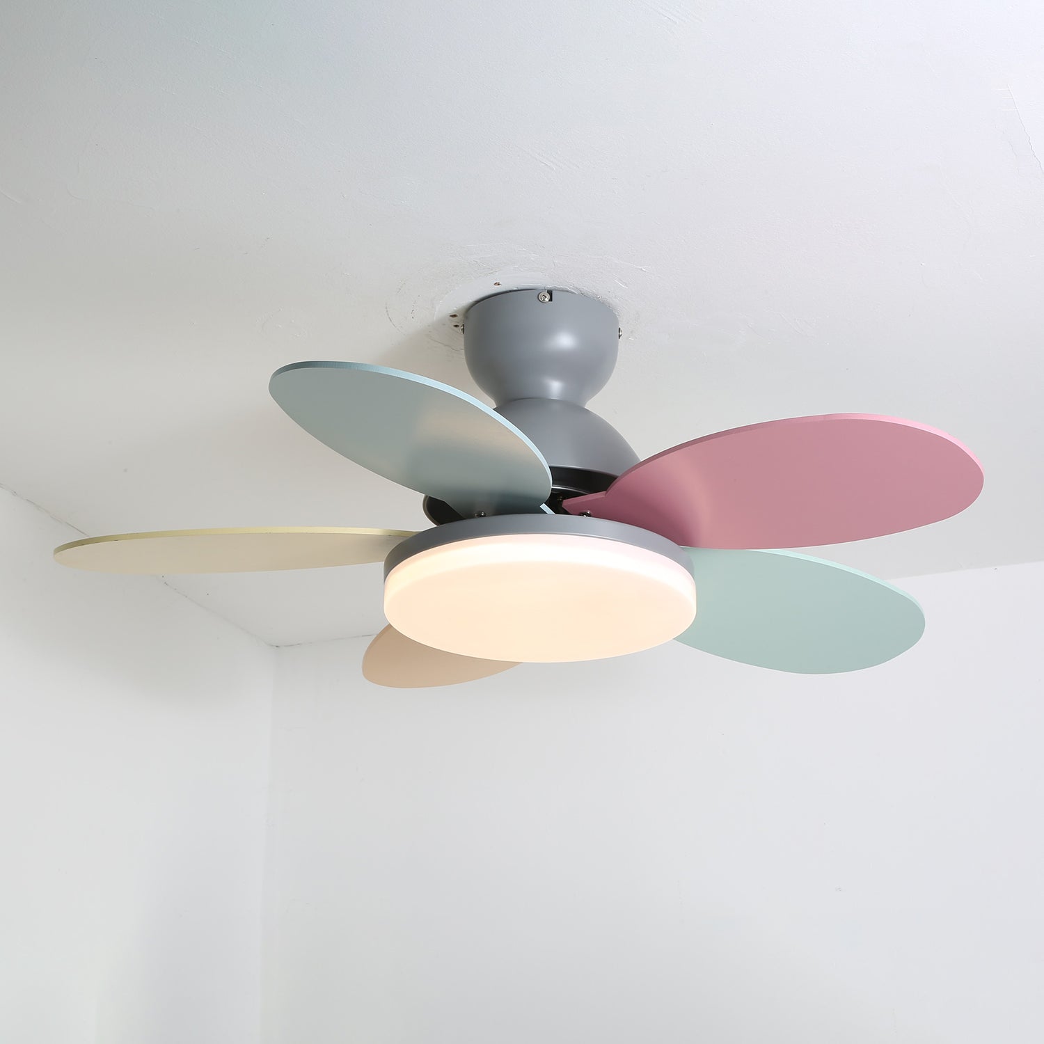 Petalo_Ceiling_Fan_Light__14_e500519f-b062-4283-bd58-6080fef4d6f4.jpg