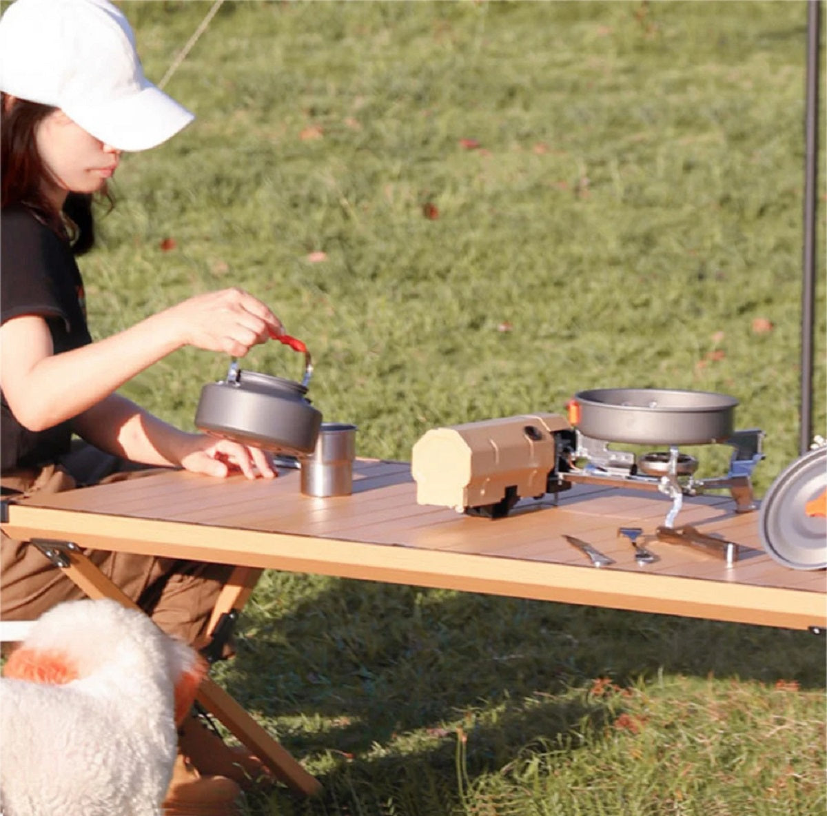 Portable Camping Gas Stove 2