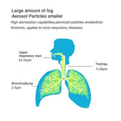 Portable Nebulizer 2