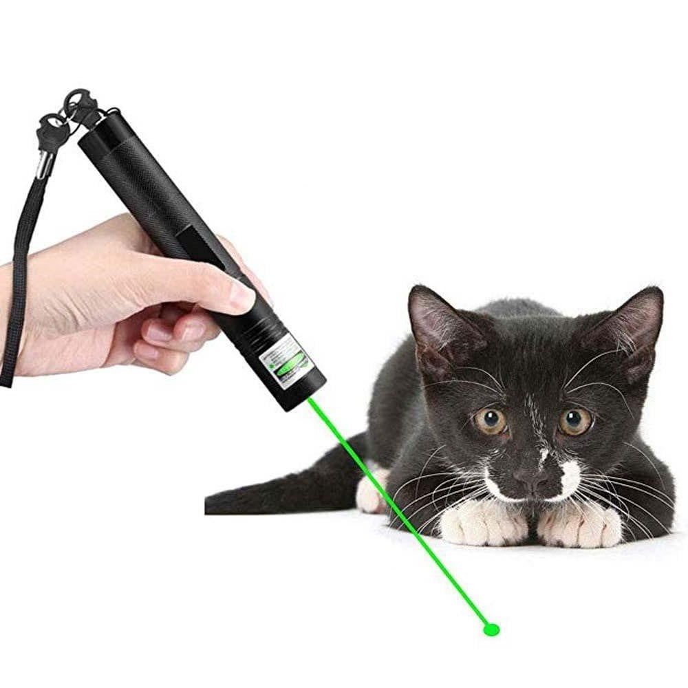 Powerful Laser Pointer 303 Pen for Precise Presentations and Outdoor Use 5