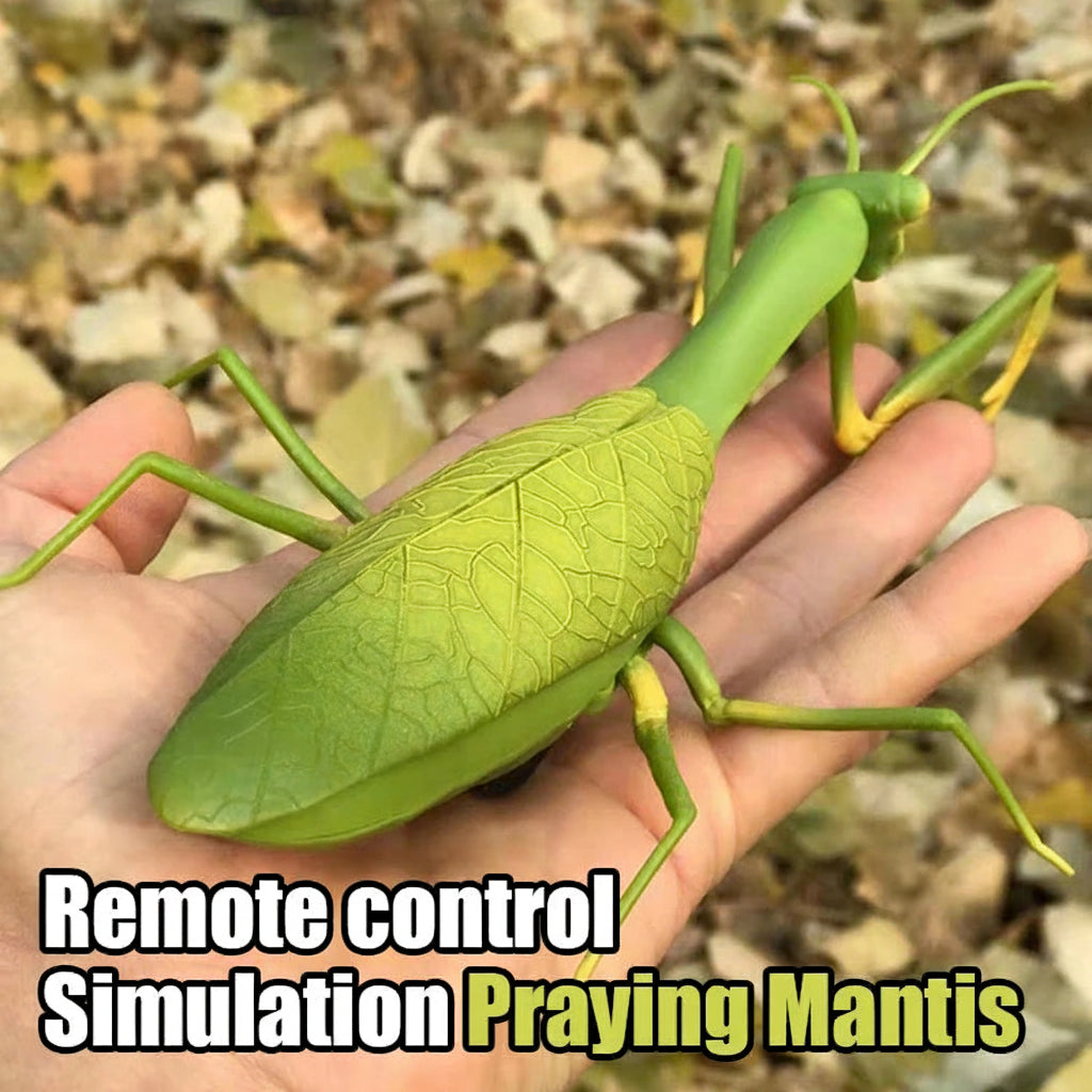 RC Animal Robot Antistress Insect Toys Infrared Simulation Spider Bee fly mantis Electric Toy for Children Prank Insects pet toy 0