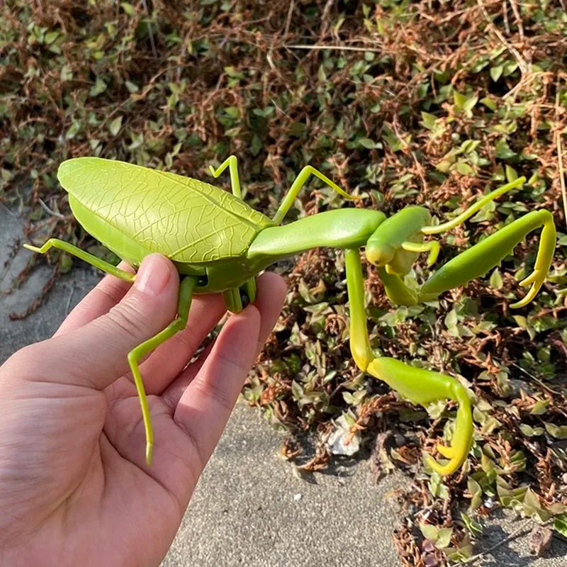 RC Animal Robot Antistress Insect Toys Infrared Simulation Spider Bee fly mantis Electric Toy for Children Prank Insects pet toy 1