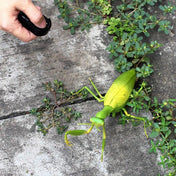 RC Animal Robot Antistress Insect Toys Infrared Simulation Spider Bee fly mantis Electric Toy for Children Prank Insects pet toy 3
