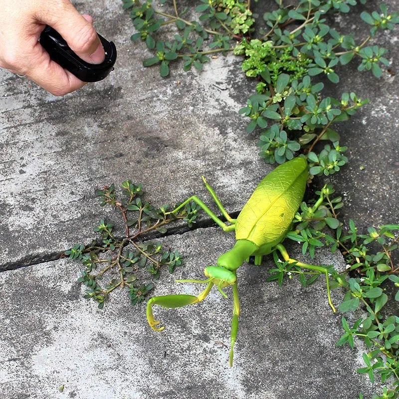 RC Animal Robot Antistress Insect Toys Infrared Simulation Spider Bee fly mantis Electric Toy for Children Prank Insects pet toy 3