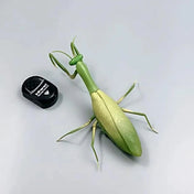 RC Animal Robot Antistress Insect Toys Infrared Simulation Spider Bee fly mantis Electric Toy for Children Prank Insects pet toy 4