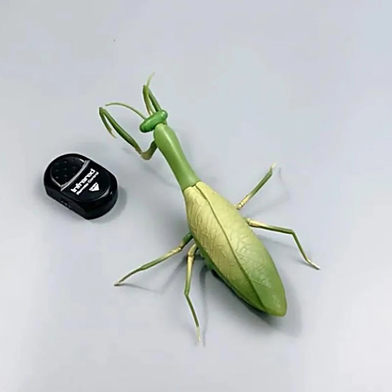 RC Animal Robot Antistress Insect Toys Infrared Simulation Spider Bee fly mantis Electric Toy for Children Prank Insects pet toy 4