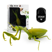 RC Animal Robot Antistress Insect Toys Infrared Simulation Spider Bee fly mantis Electric Toy for Children Prank Insects pet toy 6