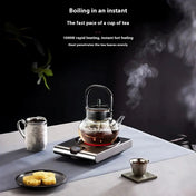 SerenoHeat Electric Ceramic Hot Plate 1