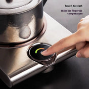 SerenoHeat Electric Ceramic Hot Plate 2