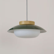 Suspension métallique contemporaine avec accent en bois pour cuisines, salles à manger et espaces de travail