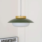 Suspension métallique contemporaine avec accent en bois pour cuisines, salles à manger et espaces de travail