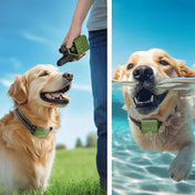 Smart Dog Training Collar & Remote Control 2