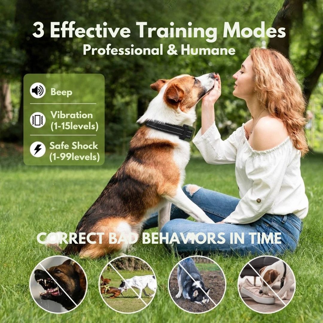Smart Dog Training Collar & Remote Control 5