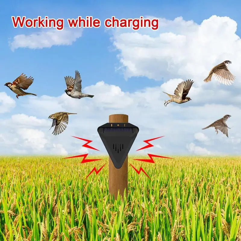 Solar-powered outdoor bird deterrent 2