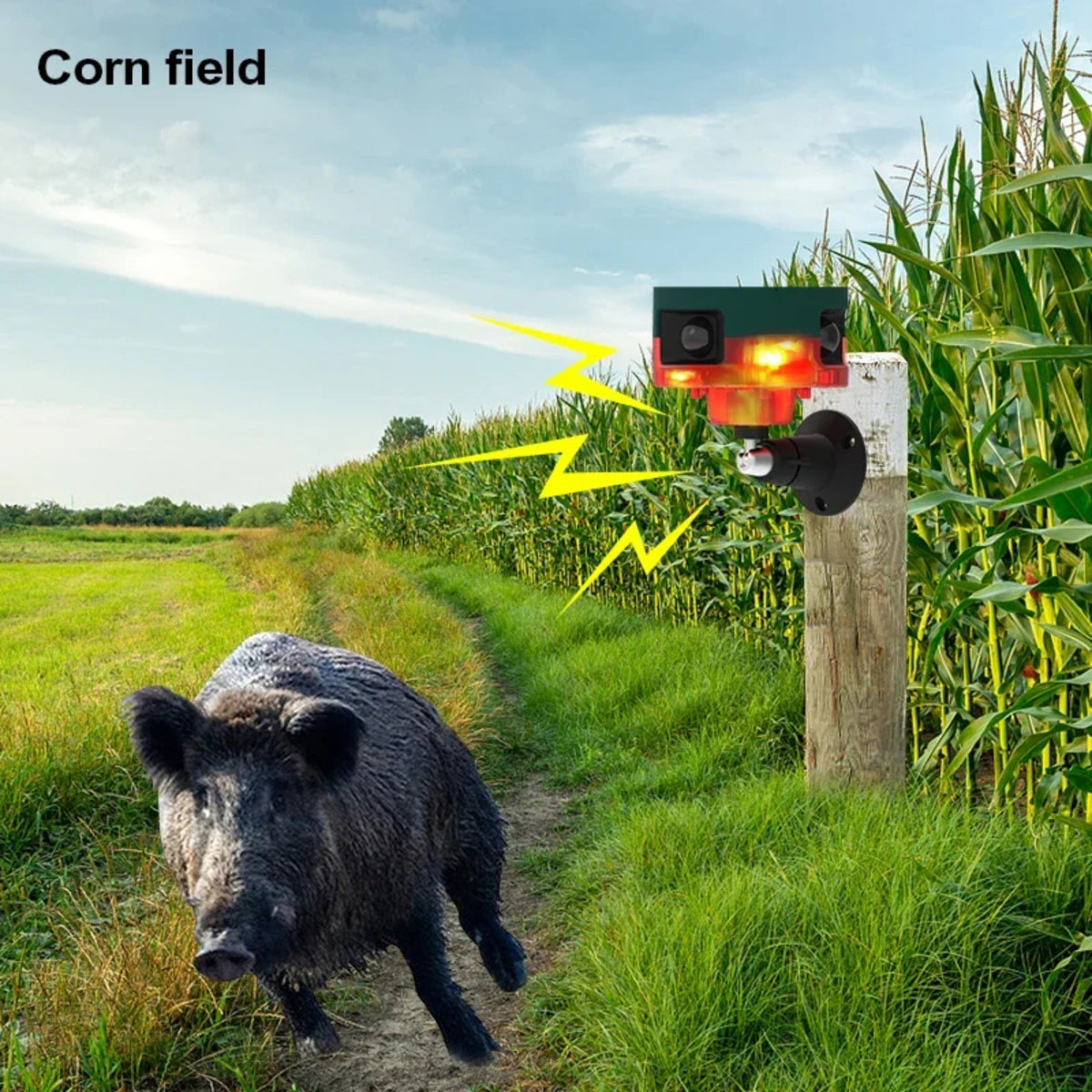 Solar Motion Sensor Alarm - Outdoor Waterproof Animal Deterrent with Loud Siren 3