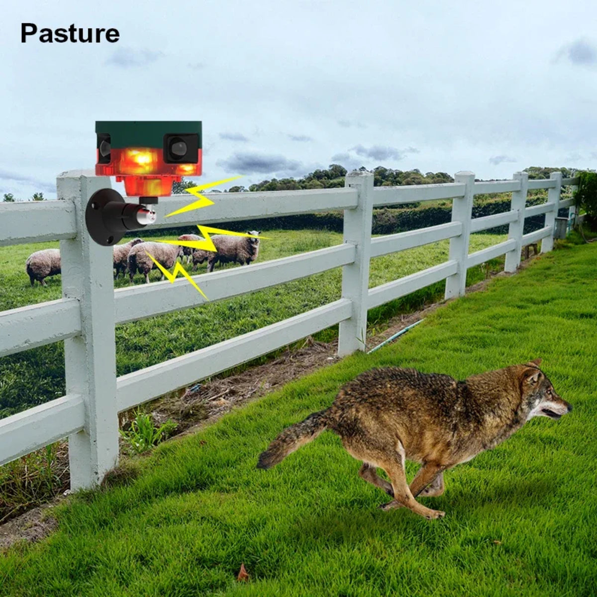 Solar Motion Sensor Alarm - Outdoor Waterproof Animal Deterrent with Loud Siren 4