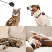 Telescoping Back Scratcher 4