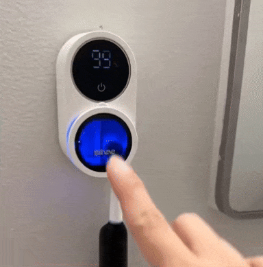 Toothbrush Sterilizer 4