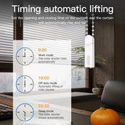 Tuya Smart Blind Motor USB Wifi  Automatic Electric Roller Shutter Shadows App Control Lifting Curtain Opening Closing Driver 2