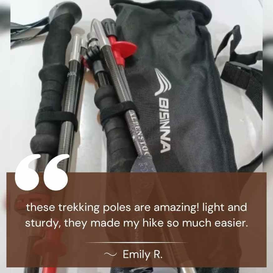 Ultra-Light Trekking Poles for All Terrain Adventures 5