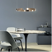 Lampada a sospensione LED circolare per soggiorno moderno con design ad anello minimalista per interni domestici contemporanei
