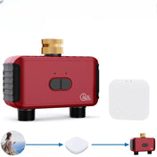 NovaLink WiFi- og Zigbee 2-zoners vandingsur til smart havevanding med dryp- og sprinklerstyring med ventil og 2MQTT ZHA