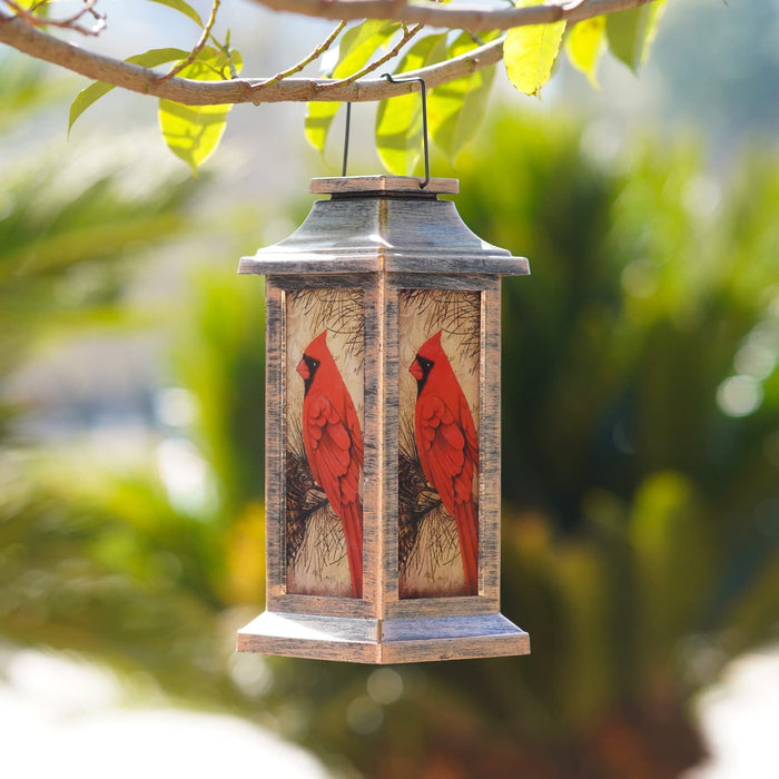 Outdoor Solar Lanterns Waterproof | Solar Lanterns for Garden | Decorative LED Garden Light | Eco-Friendly Solar Lamp | Portable Outdoor Solar Light - Zardee 4