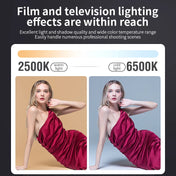 ZU80/ZU60 Photo Studio Light COB Bi-Color 2500-8500K CRI≥95 TLCI≥97 With Diffuser LED Video Lights Fill Lighting 3