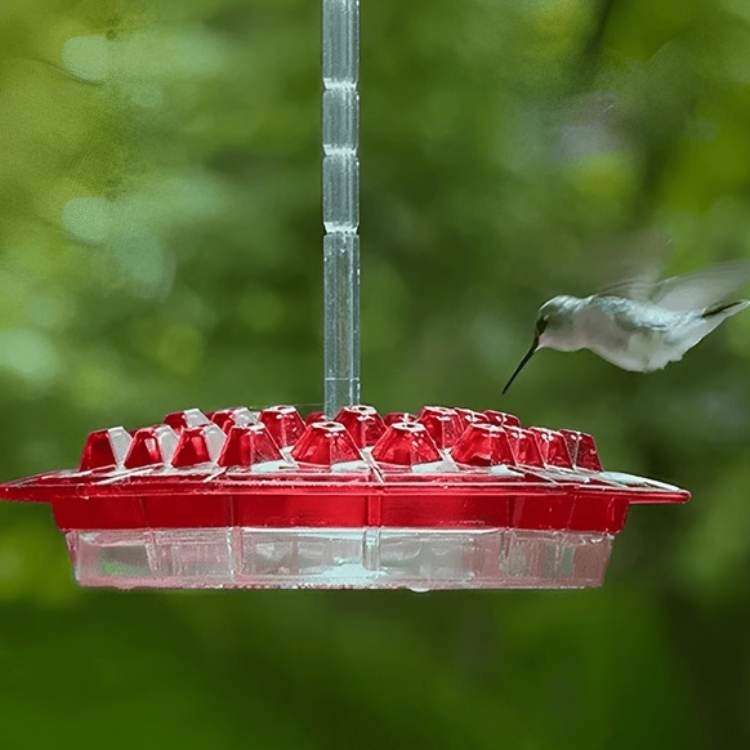 decorative-garden-hummingbird-feeder-bird-feeder-972558.jpg